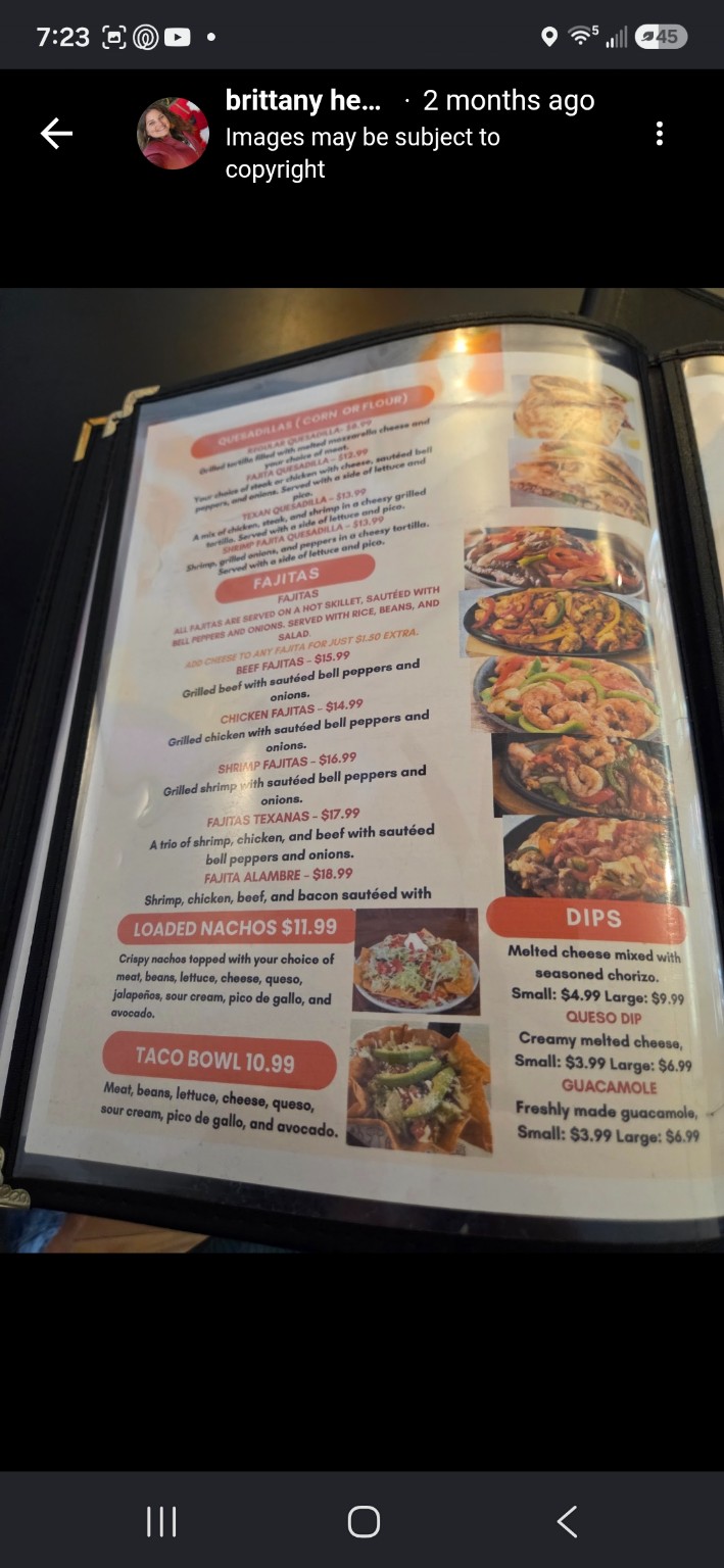 Taqueria El Gammi menu page with quesadillas, fajitas, nachos, taco bowl and dips